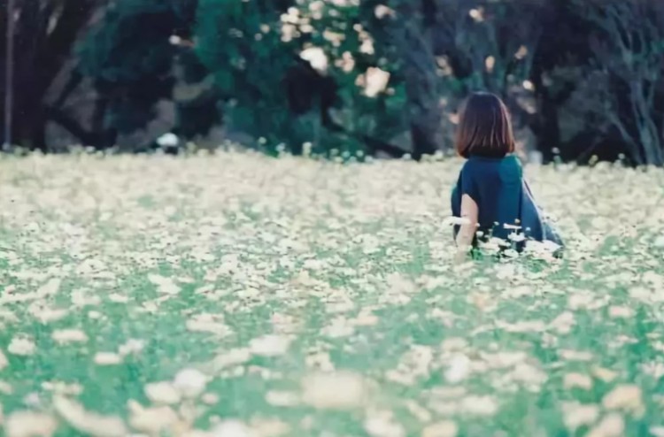 如果你十年不换手机号就会明白以下几个真相