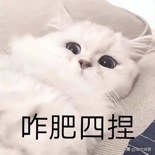 引流是啥为啥潜移默化的偷走我的钱！