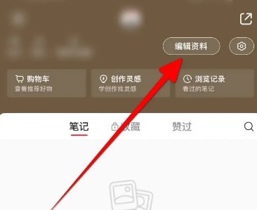 小红书号怎么修改