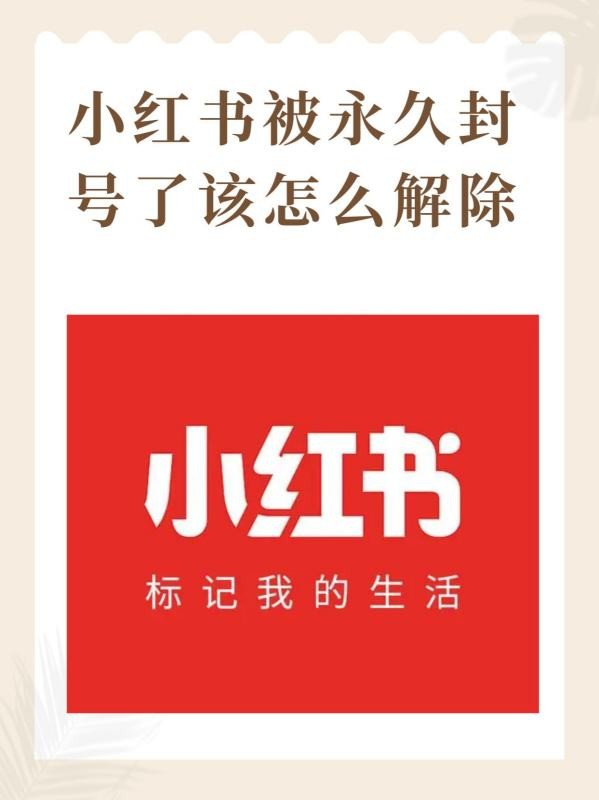 小红书怎么解封账号呢