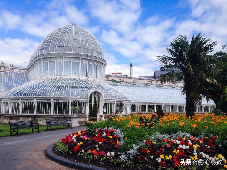 慧心易数:什么数字磁场会暴露你极端的脾气性格