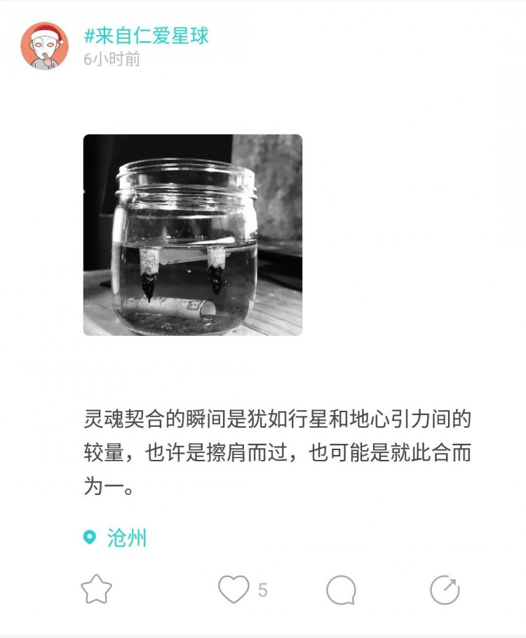 袁咏仪的爱情保鲜秘密soul只为懂你
