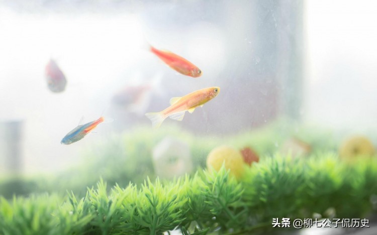 在微信里谈情说爱你仿佛看到了爱情最初的样子纯粹又美好!