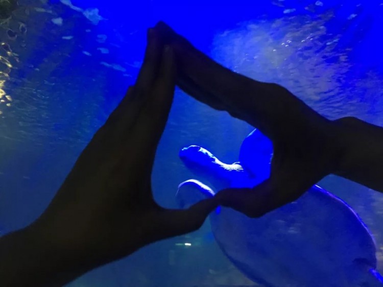 Soul奔现故事:跨越2000公里来爱你