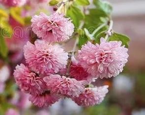 你会加陌生人微信吗