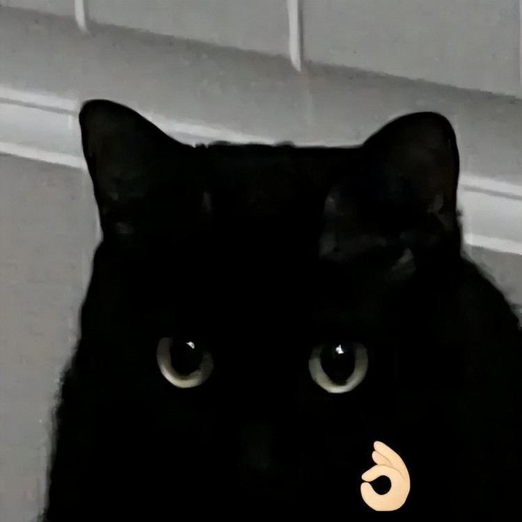 微信彻底放开限制免手机号也能注册小号