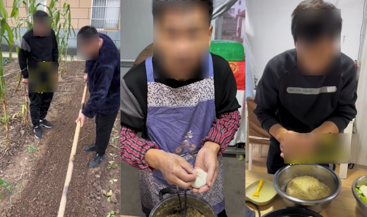 播放量破3000w还能涨粉50w快手当红赛道又出逆袭黑马