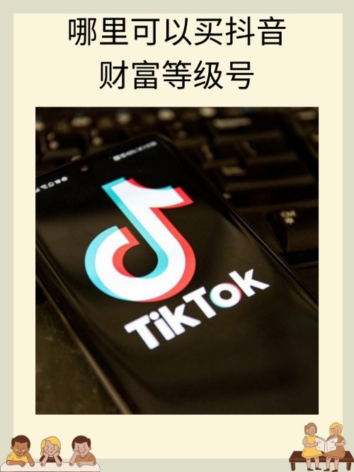 哪里有抖音等级号出售？