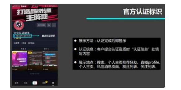 企业抖音蓝V怎么认证
